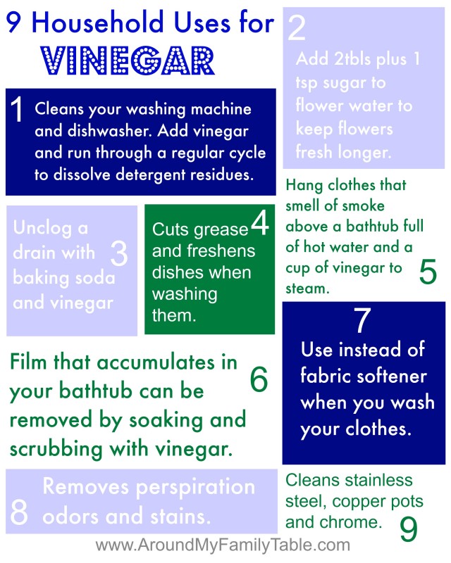 9 Household Uses for Vinegar - Around My Family Table