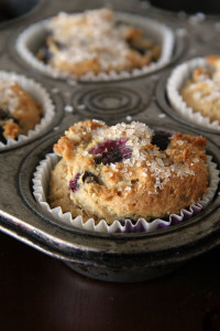 Gluten Free - Vegan Blueberry Muffins