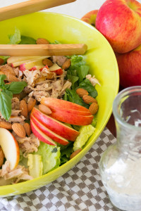 Apple & Chicken Salad with Honey Poppyseed Dressing