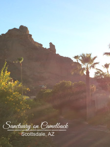 Sanctuary on Camelback Review