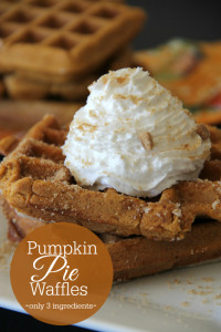 Pumpkin Pie Waffles {only 3 ingredients} gluten free and traditional versions