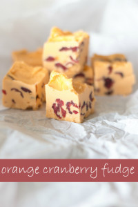 orange cranberry fudge