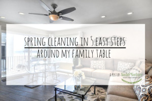 Spring Cleaning in 5 Easy Steps