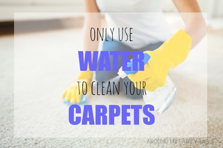 Why You Should Never Use Soap to Clean Your Carpets Around My Family