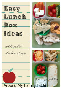 These 2 Easy Lunch Box Ideas are perfect for picky kids and busy mornings plus they are fun and healthy too.