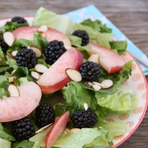 This delicious Blackberry Nectarine Salad with Honey Vinaigrette is perfect for a hot summer night.