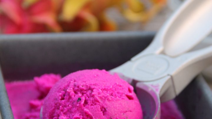 Featured image of post Steps to Prepare Dragon Fruit Sorbet Recipe