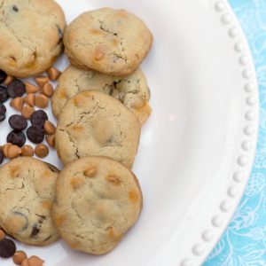 Where are all the dark chocolate lovers? These Dark Chocolate Chip and Butterscotch Cookies are a dark chocolate lover's dream cookie!