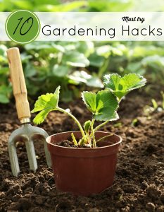 The weather is warm and we are outside getting dirty in the garden. These 10 Gardening Hacks will sure to save you time and a little green.