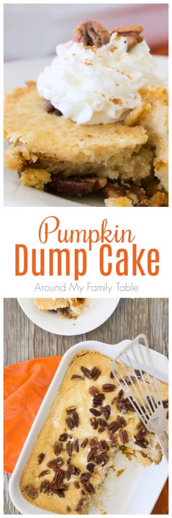 Pumpkin Dump Cake Recipe - Around My Family Table