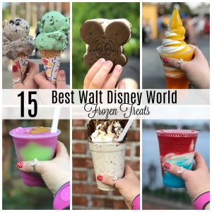 Best Walt Disney World Frozen Treats...you have to try these on your next #disneyvacation #disneyfood #disneyworld #waltdisneyworld