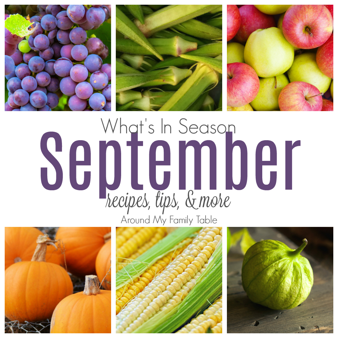 September - What's In Season Guide - Around My Family Table