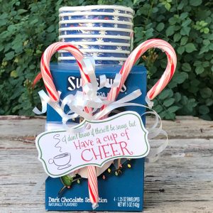 If you need a quick but festive holiday gift, then you'll love these Have a Cup of Cheer Printables with a hot cocoa gift package. 