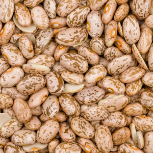 dried pinto beans